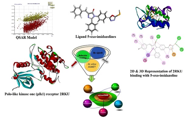 QSAR Modeling, Molecular Docking, and ADME Studies of Novel 5-Oxo- Imidazoline Derivatives as Anti-Breast Cancer Drug Compounds against MCF-7 Cell Line 