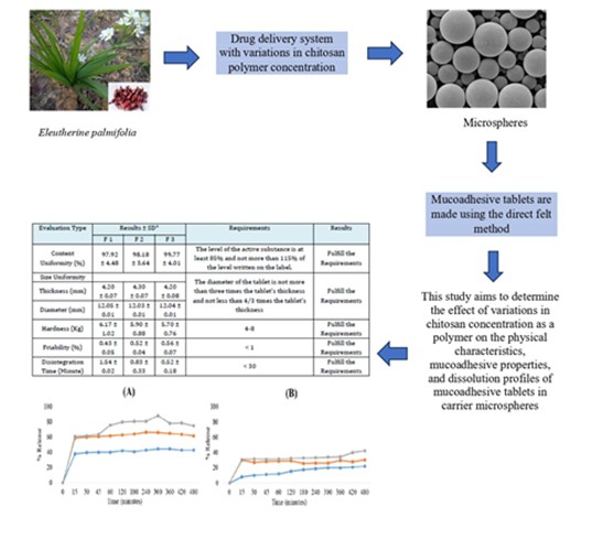 Formulation and Characterization of Eleutherine palmifolia Extraction in Carriers of Microspheres with Variations in Chitosan Polymer Concentration 