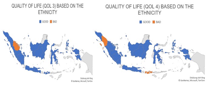 The Analysis of the Quality of Life in Indonesia in the Middle of the COVID-19 Pandemic: A Cross-Sectional Study 
