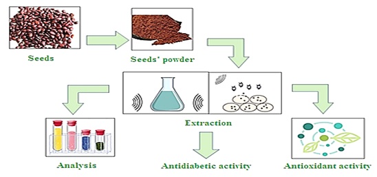 Evaluation of In vitro Antioxidant and Antidiabetic Properties of Cydonia Oblonga Seeds' Extracts 