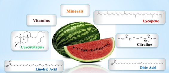 Watermelon Allsweet: A Promising Natural Source of Bioactive Products 