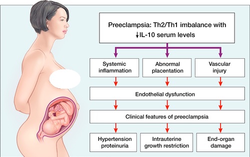 Comparing the Inflammatory Markers between Women with Eclampsia- Preeclampsia and Normotensive Pregnant Women in Gynecology 