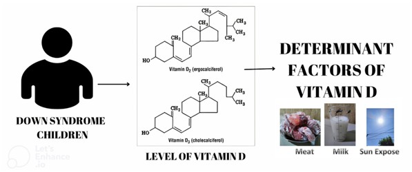 Determinant Factors of Vitamin D Levels in Down Syndrome of Indonesian Children 