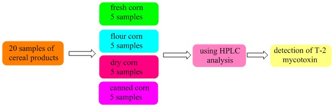 Detection of the Mycotoxin T2 Produced by Fusarium spp. in Some local Cereal Products and Studying Its Phenotypic Characteristics in Baghdad City 