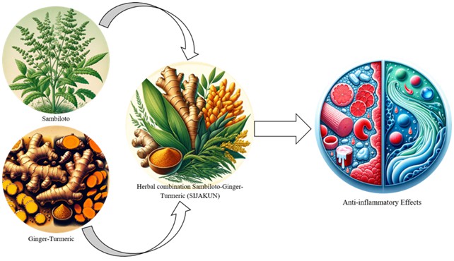 Anti-Inflammatory Effects of the Herbal Combination Sambiloto-Ginger-Turmeric (SIJAKUN) 