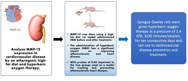 HBO's Impact on the Prevention and Therapy of Atherosclerotic Heart Disease through Matrix Metalloproteinase-12 (MMP-12) Expression 
