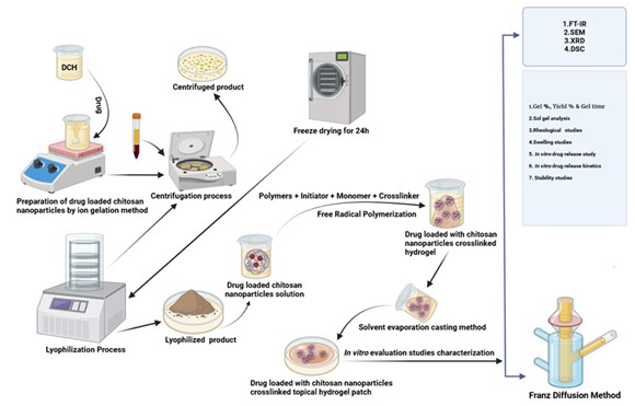Formulation and Development of Doxycycline Hyclate Loaded Chitosan Nanoparticles Crosslinked Topical Hydrogel Patches for Healing Diabetic Foot Ulcer