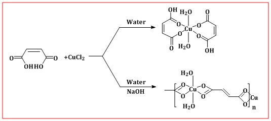 Antibacterial Activity of Copper (II) Complexes of Maleic Acid: Thermal Studies, and New Precursors for Preparation of CuO 