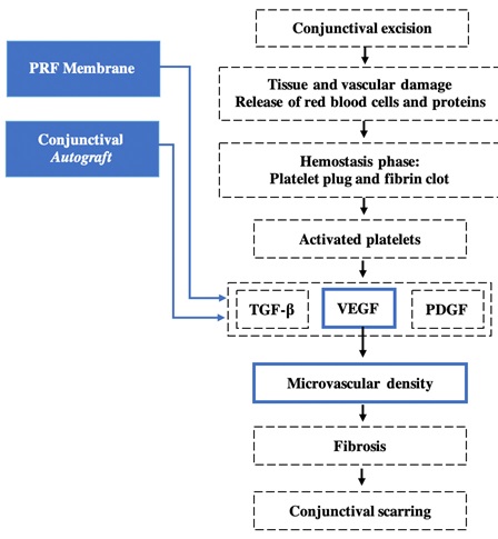 Effect of Platelet Rich Fibrin Membrane (PRF) or Conjunctival Autograft on VEGF Expression and Microvascular Density Post Conjunctival Excision 