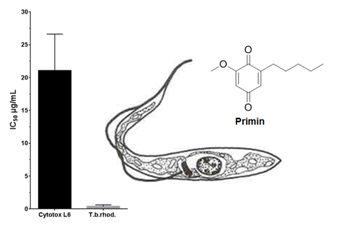 Design, Synthesis, and Testing of Antiprotozoal Activity of Primin and Analogues 