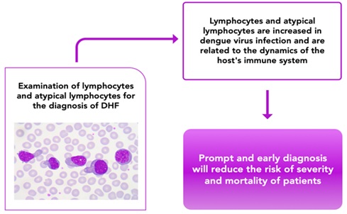 Role of Lymphocytes and Atyphical Lymphocytes in Dengue Hemorrhagic Fever: A Literature Review 