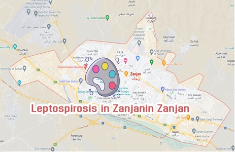 Eroepidemiology of Leptospirosis Among Healthy People in Zanjan, Northwest of Iran 