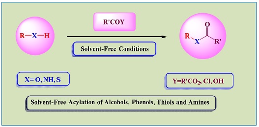 Solvent-Free Acylation of Alcohols, Phenols, Thiols and Amines 